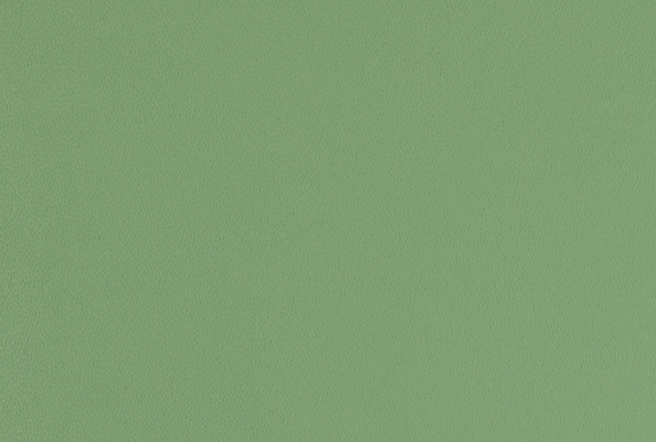 Silk Spearmint